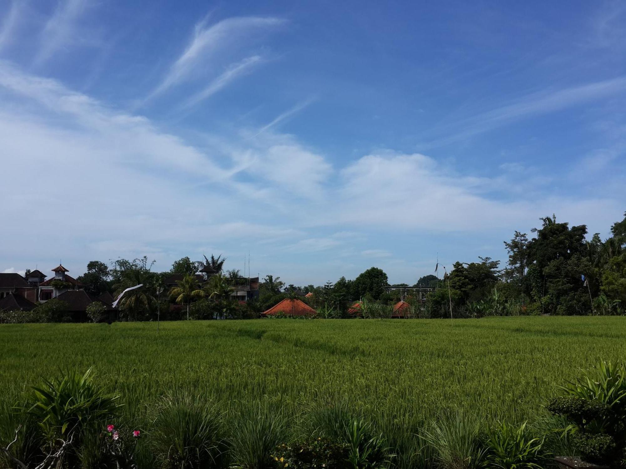 Kun - Kun Guest House Ubud Exterior photo